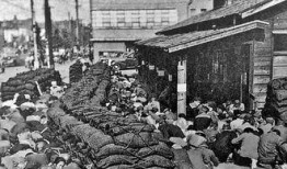 二战最新爆料,尘封档案揭示不为人知的战争真相