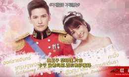 宫泰国版全集在线观看,穿越时空的浪漫传奇