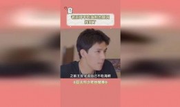 北京王哥爆料视频播放大全,揭秘都市生活百态